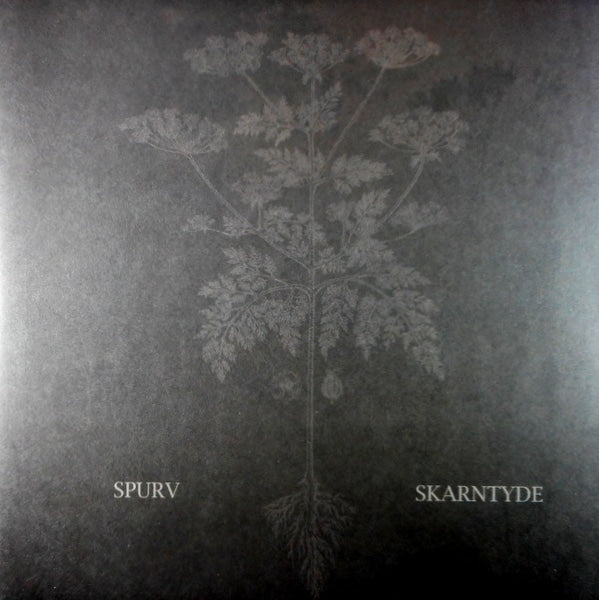skarntyde